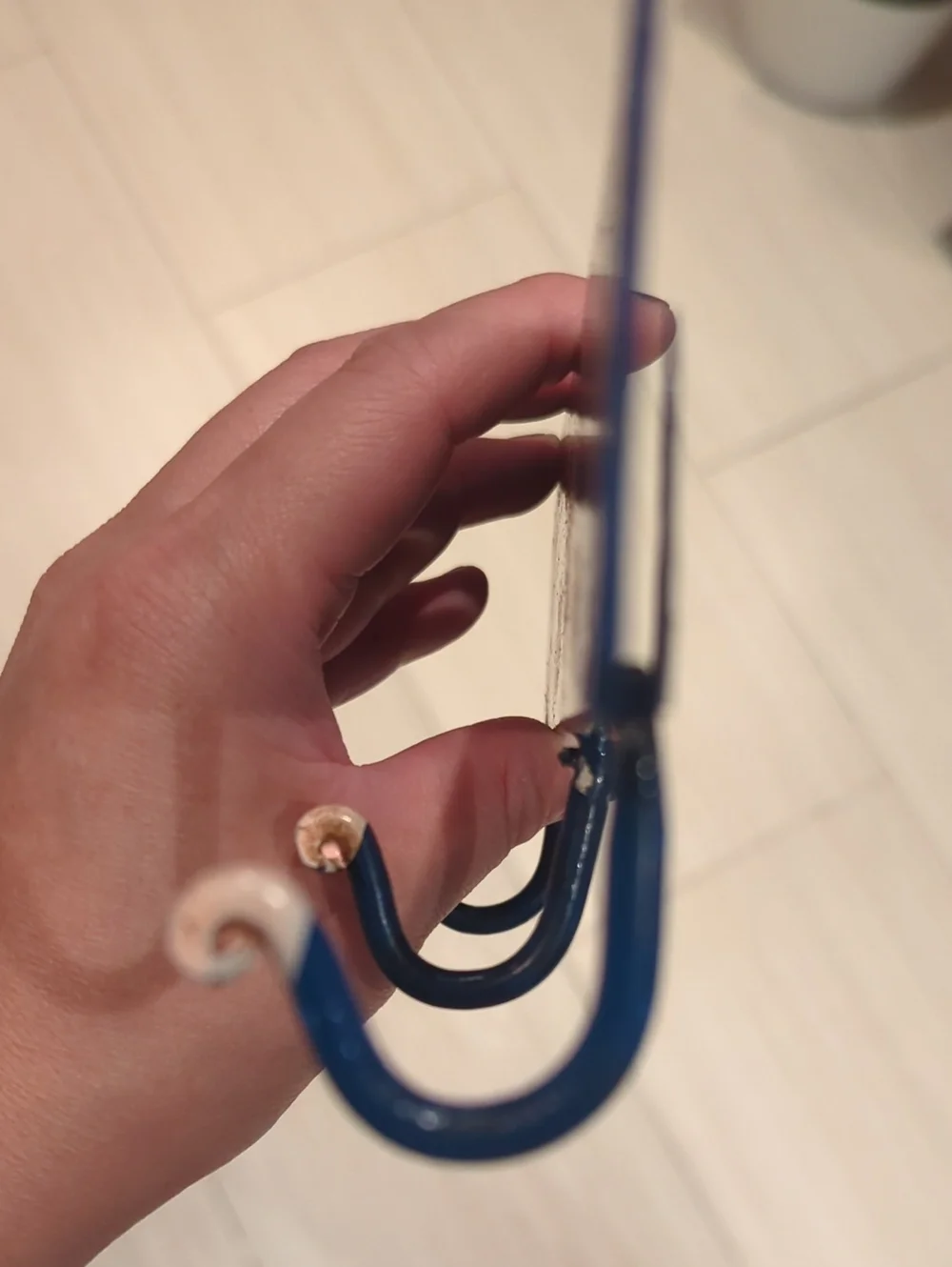 Urban Outfitters nwt pet